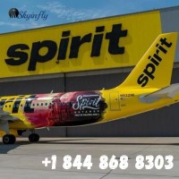 Spirit Airlines Flight Booking Number 1 844 868 8303